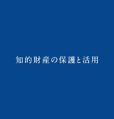 知的財産の保護と活用